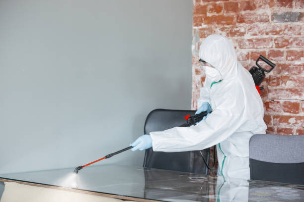 Best Water Damage & Mold Remediation  in Lake Shore, UT